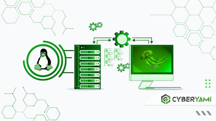 Linux Fundamental Bootcamp