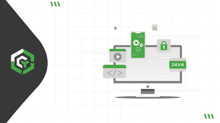 Programming Language-Specific Security