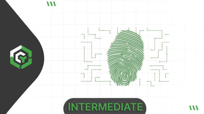 Deep Dive into Forensic Techniques